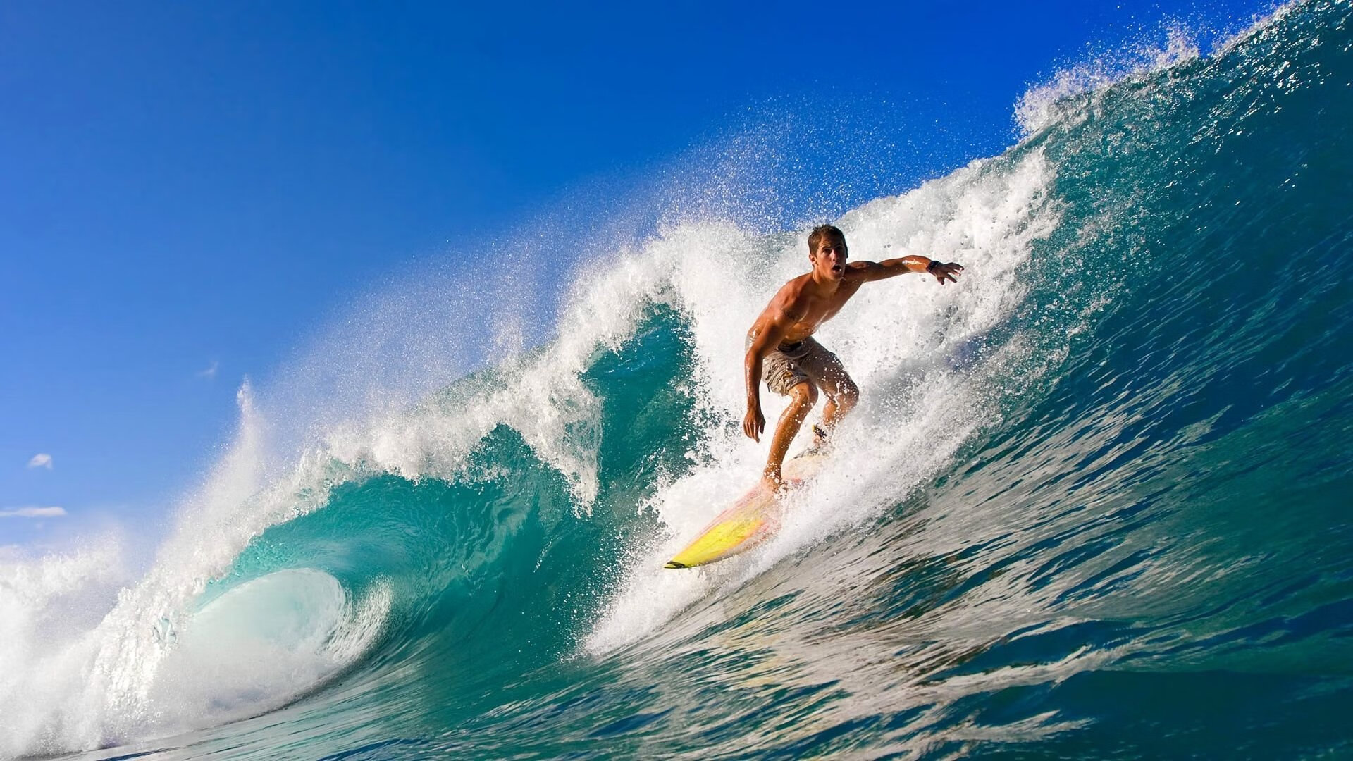 国际足联新设和平奖，特朗普有望成为首位获奖者，特朗普 和平奖候选人